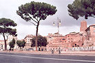 Roma 07 Pic 2