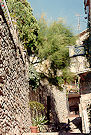 Assisi 91 Pic 4