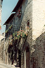 Assisi 91 Pic 6