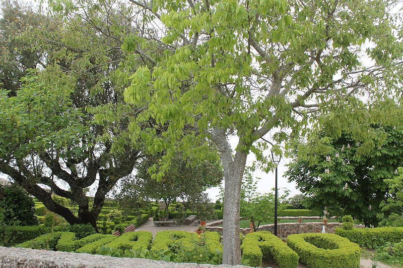 Castle garden