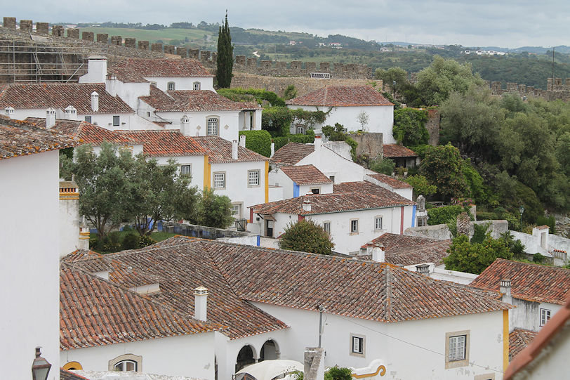Panoramic view