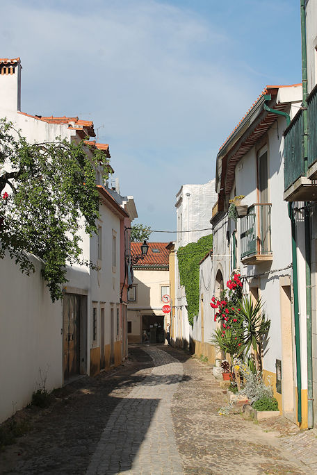 Rua de Dona Aurora de Macedo