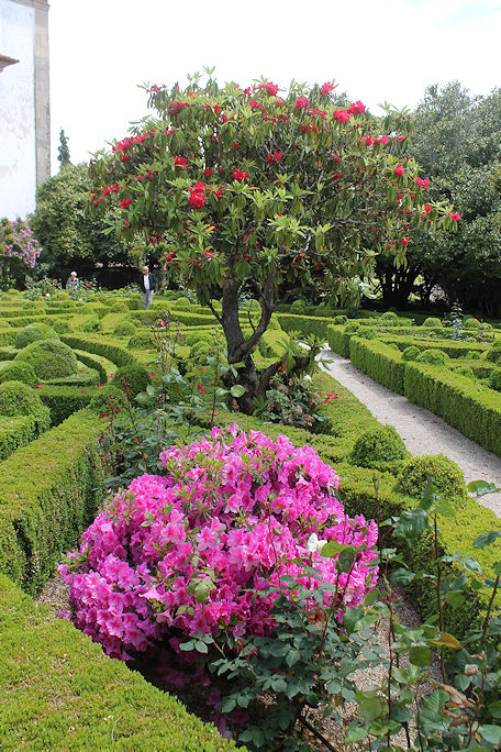 Casa de Mateus garden