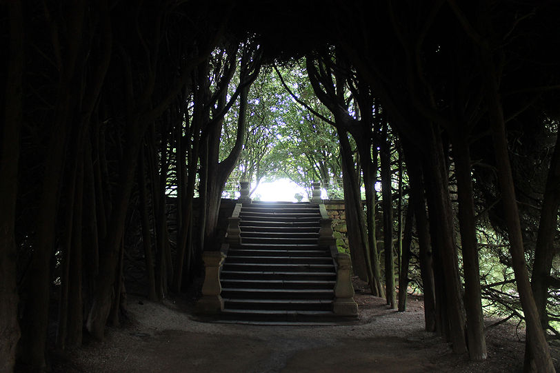 Casa de Mateus garden