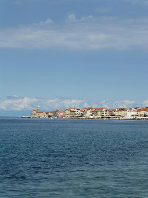 Panoramic view