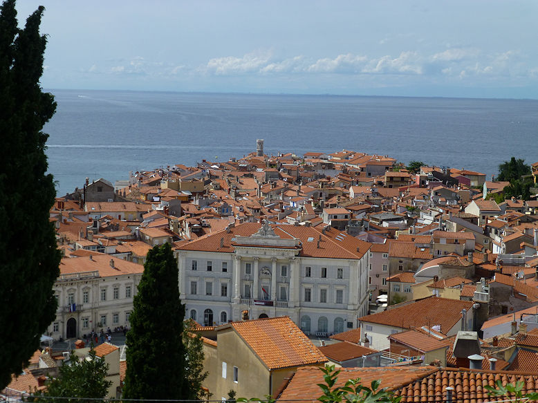 Panoramic view