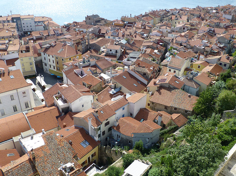 Panoramic view