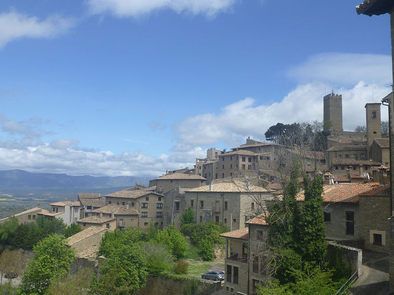 Panoramic view