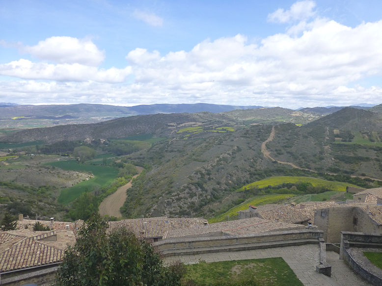 Panoramic view