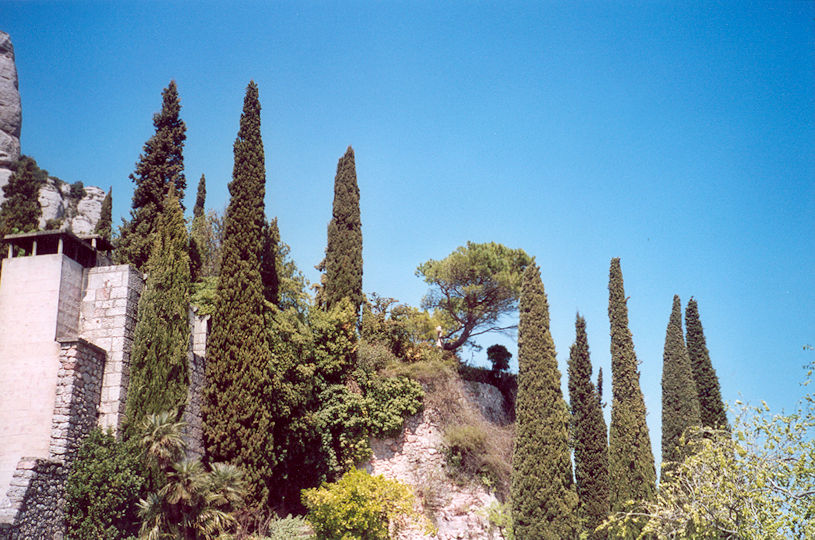 Landscape
