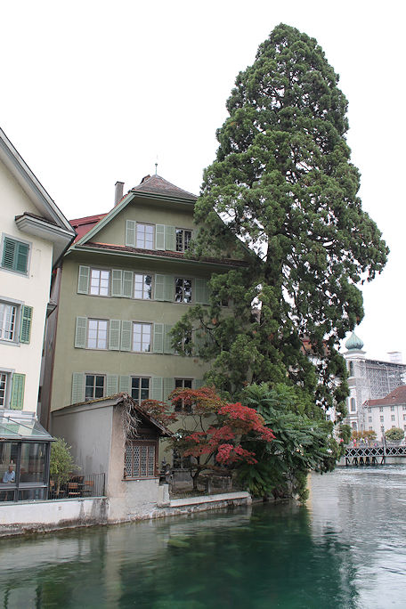 Reuss bank
