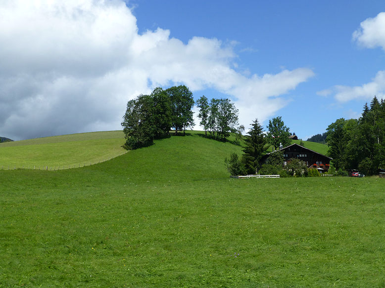 Along Gstaadstrasse
