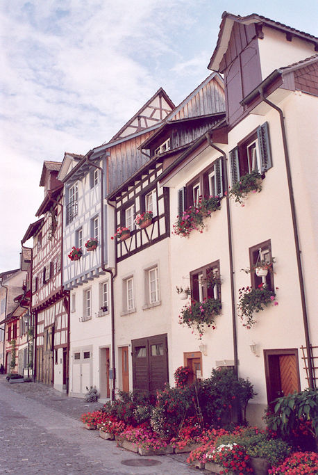 Fronhof