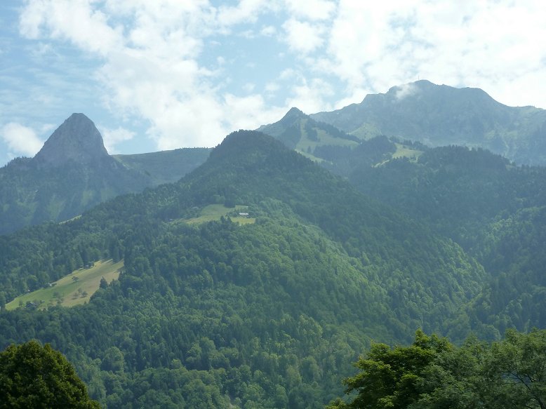 Panoramic view