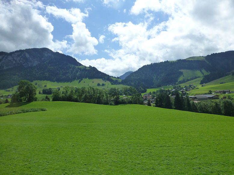 Panoramic view