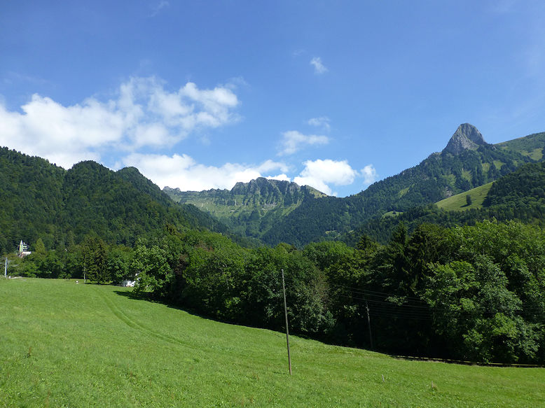 Panoramic view