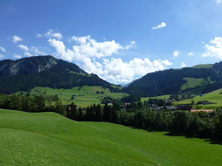 Panoramic view