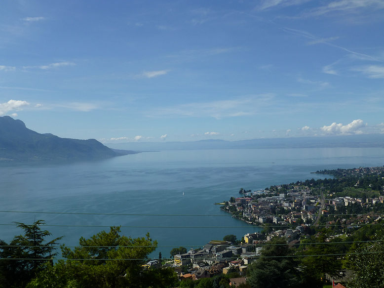 Panoramic view