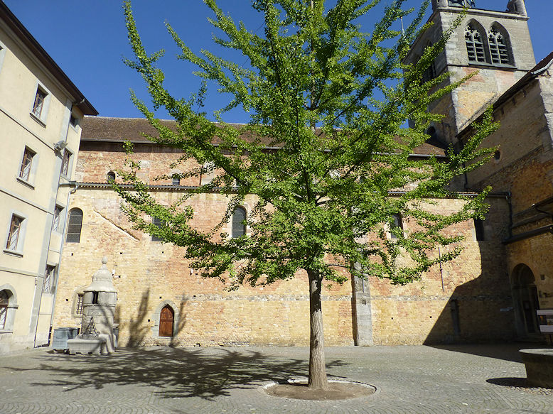 Abbatiale Notre-Dame