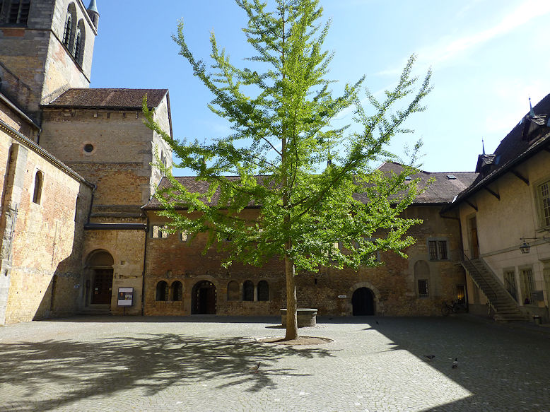 Abbatiale Notre-Dame