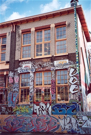 Doornroosje