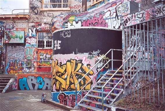 Doornroosje