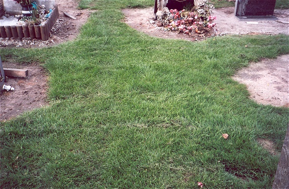 Martin's grave