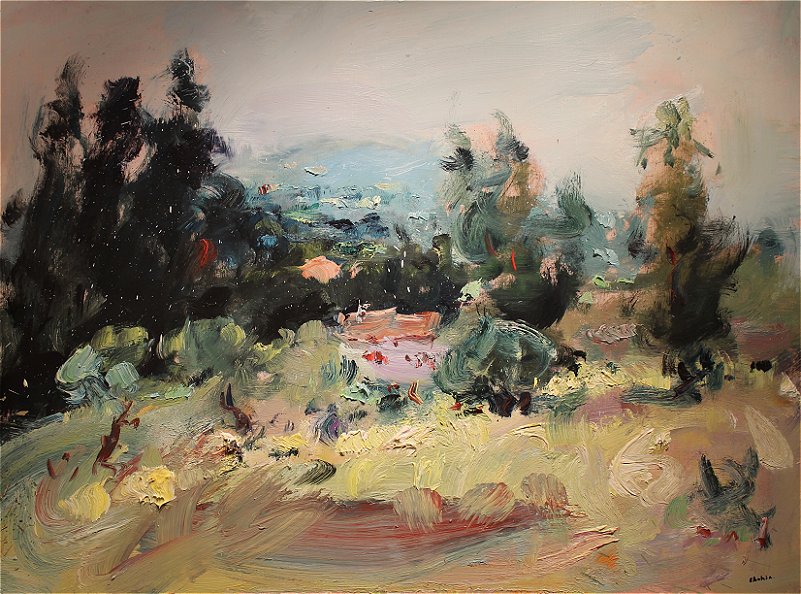 Paysage mas