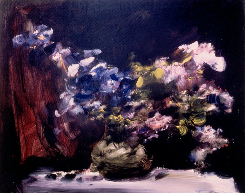 Iris foisonnants